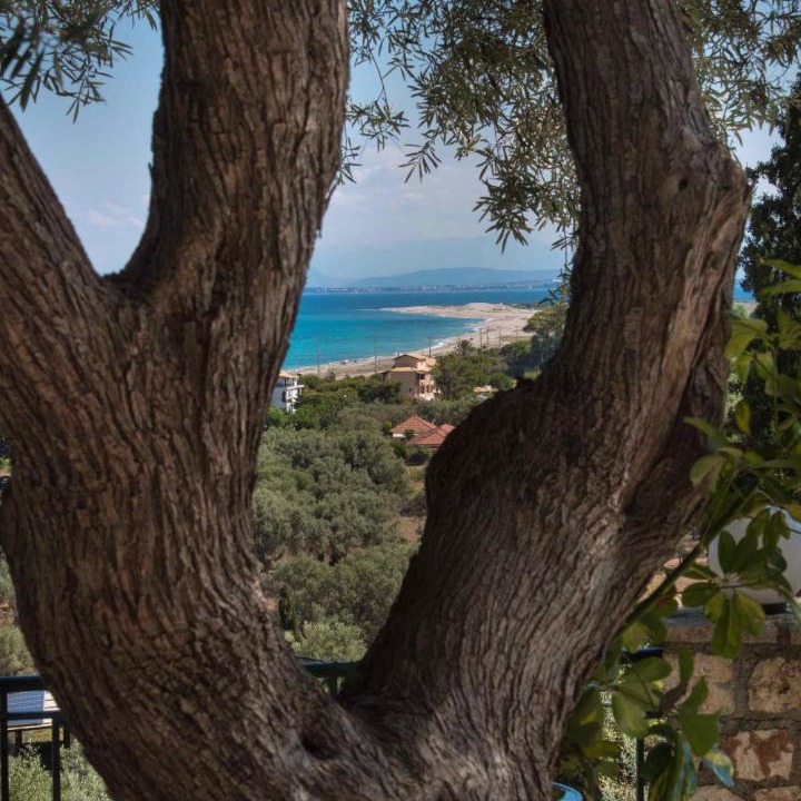 Photo of Others in Agios Ioannis