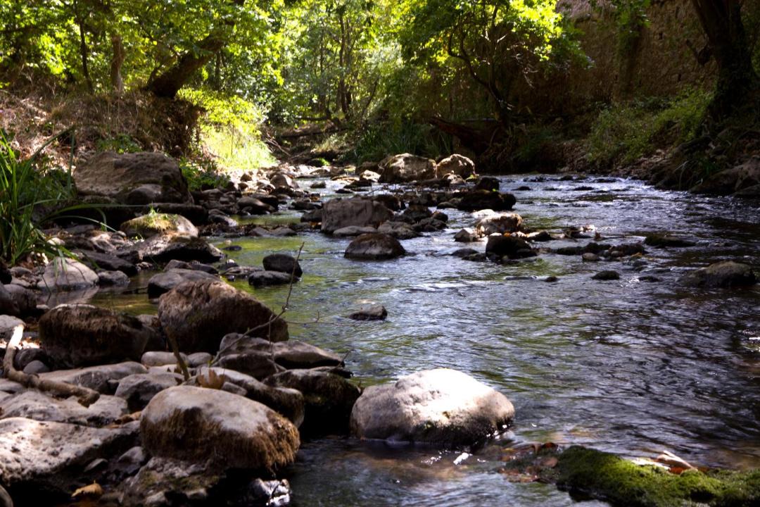 Photo of Others in Kalavrita