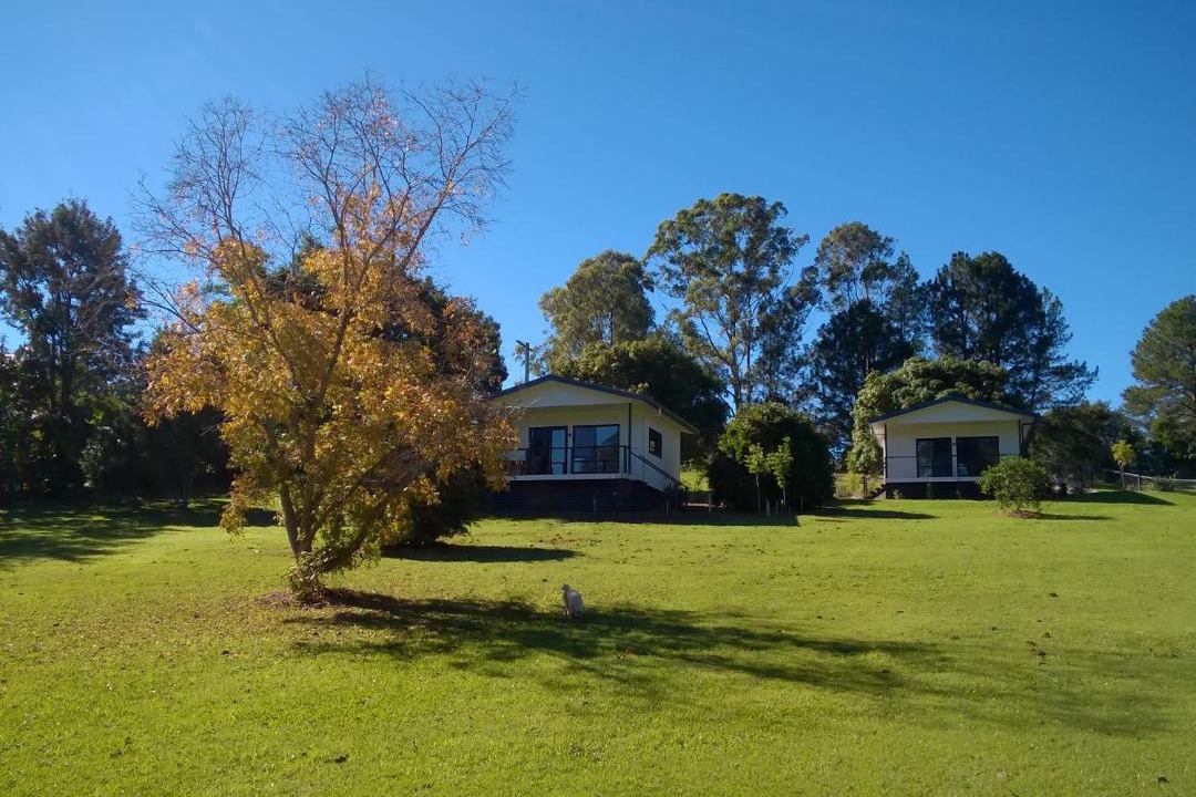 Photo of Others in Eumundi