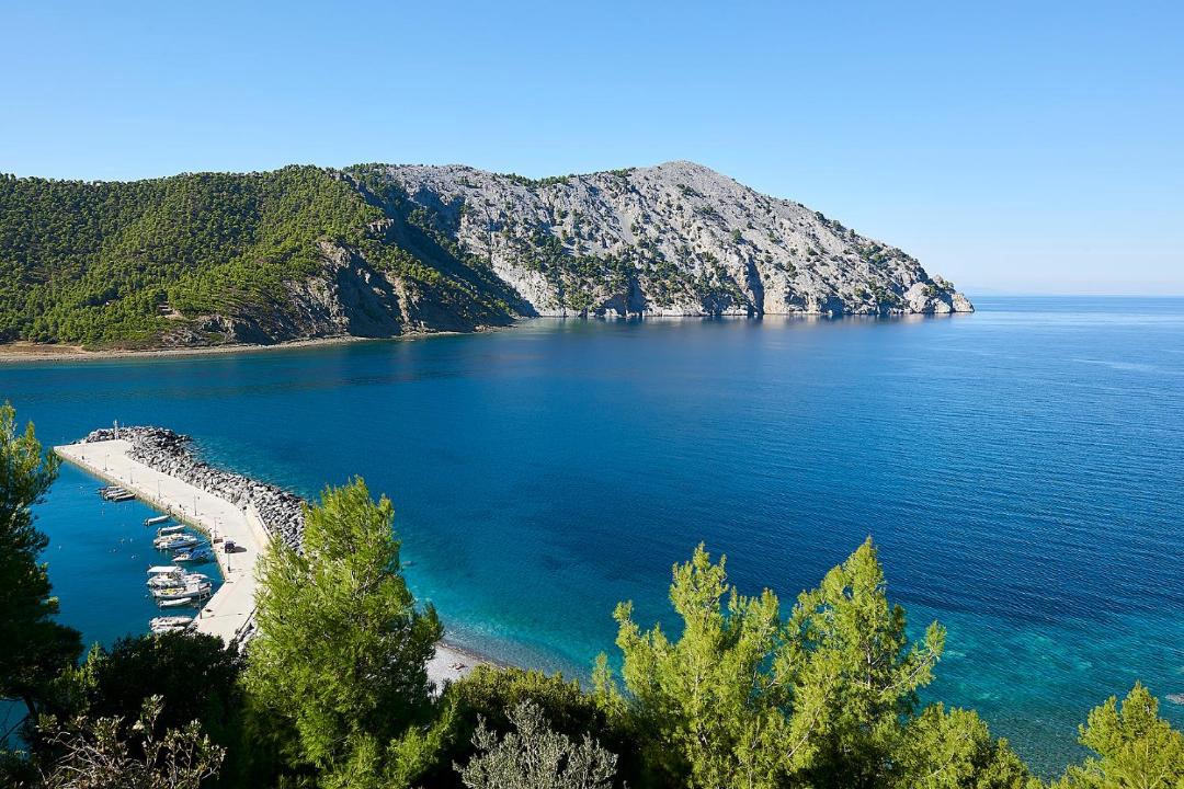 Photo of Others in Pilio