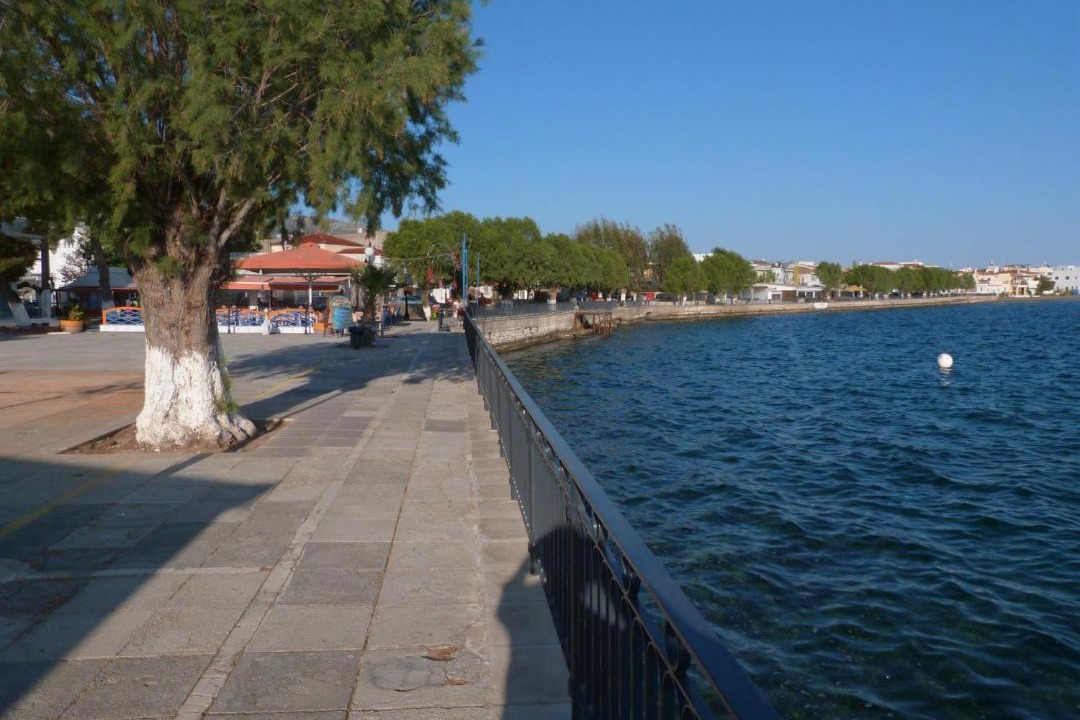 Photo of Others in Amarinthos