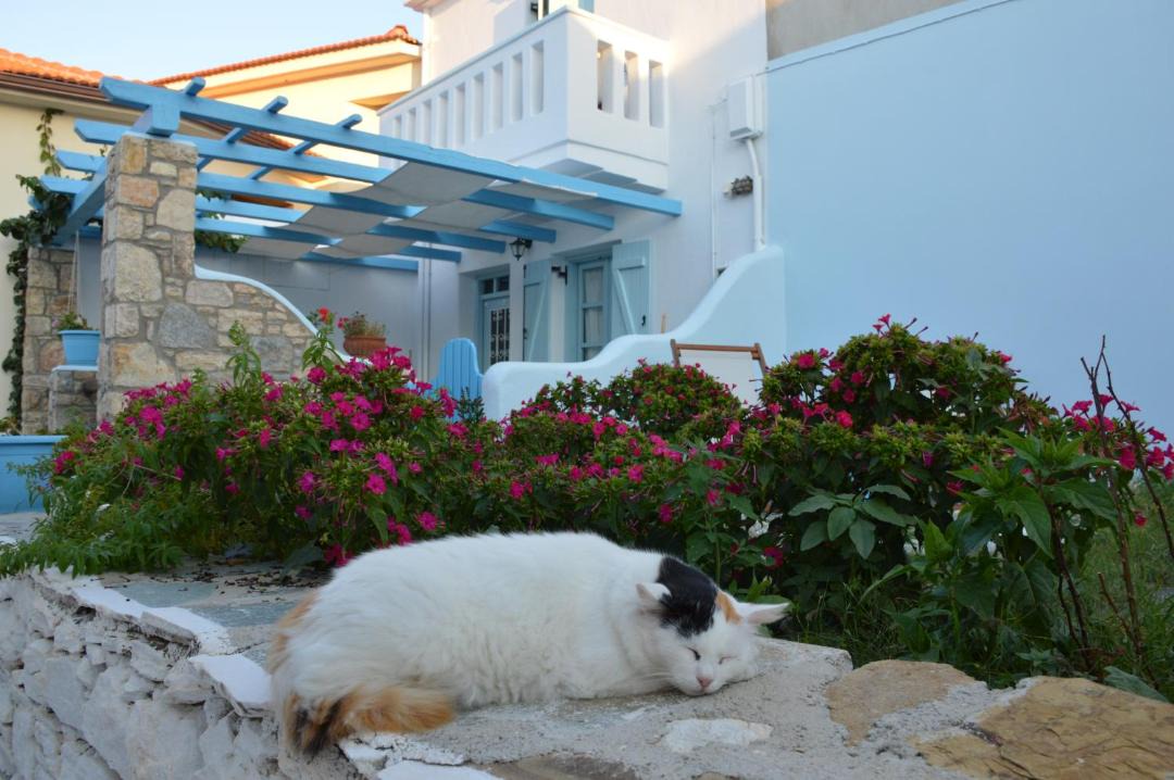 Photo of Others in Alonissos