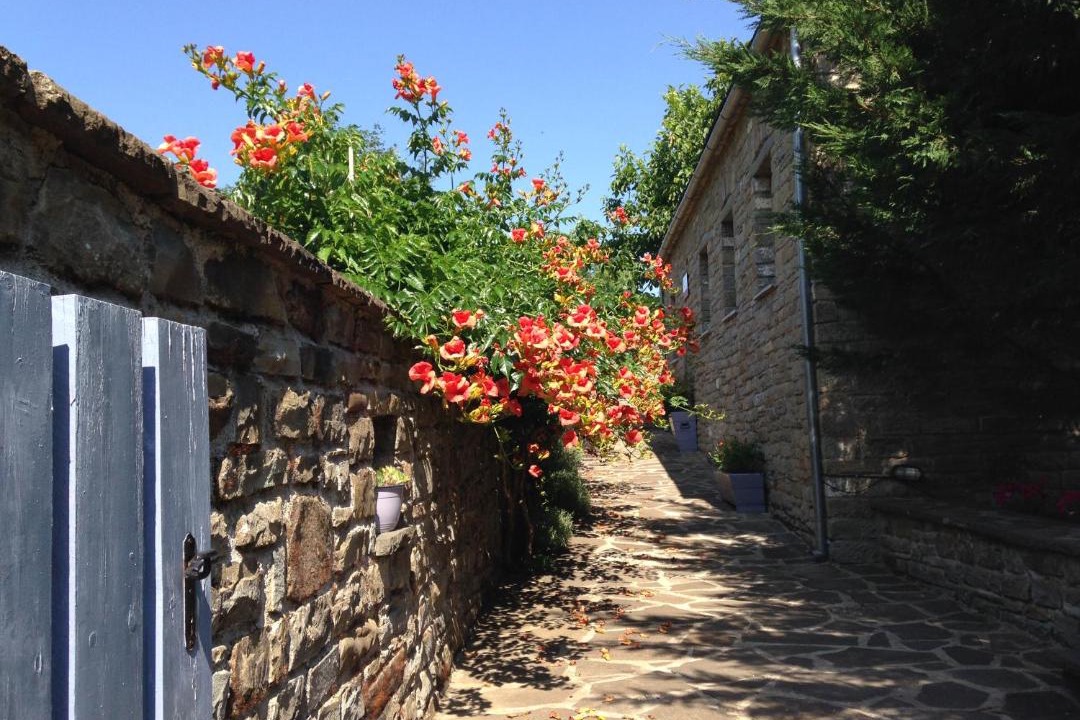 Photo of Buildings in Papigo