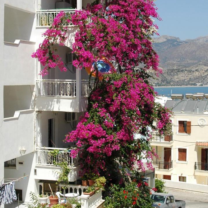 Photo of Others in Karpathos