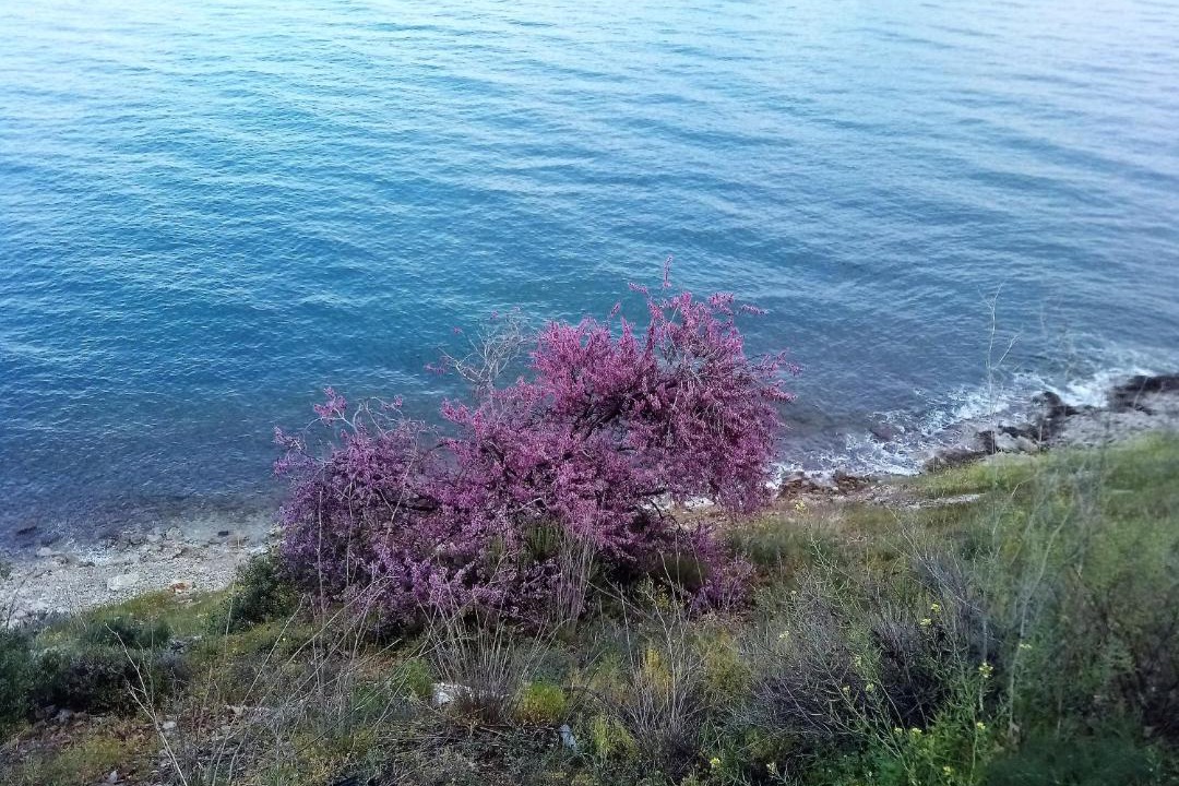 Photo of Outdoor in Kiveri