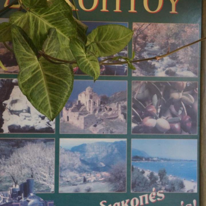 Photo of Others in Diakofto