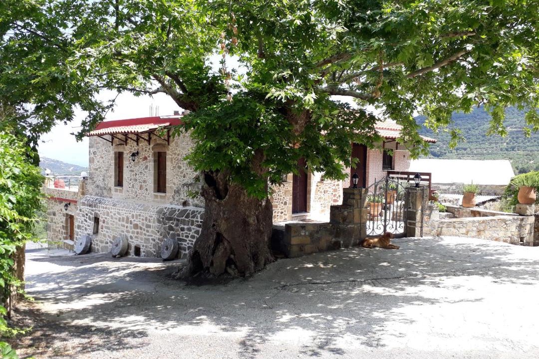 Photo of Others in Koukounara