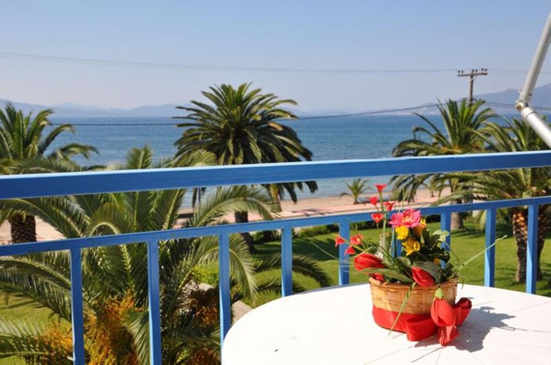 Photo of Patio Balcony in Xirolivado