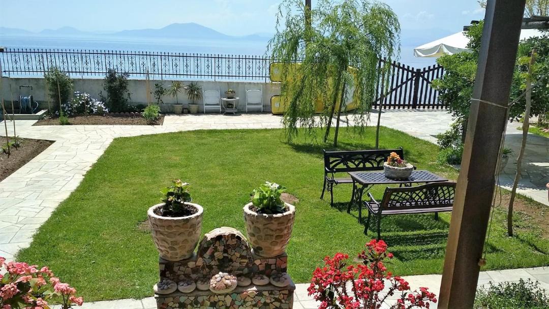Photo of Others in Volos