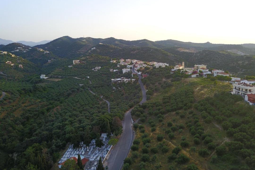 Photo of Others in Stalos