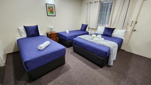 Ground Floor Room with Double and 2 Singles