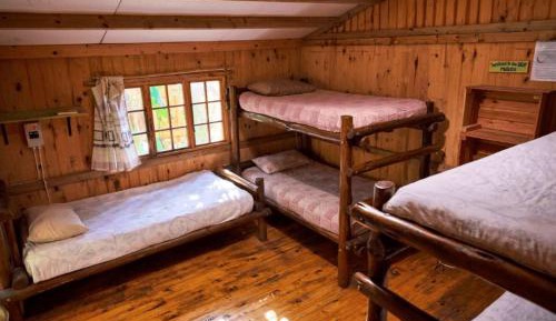 Bed in 6-Bed Mixed Dormitory Room
