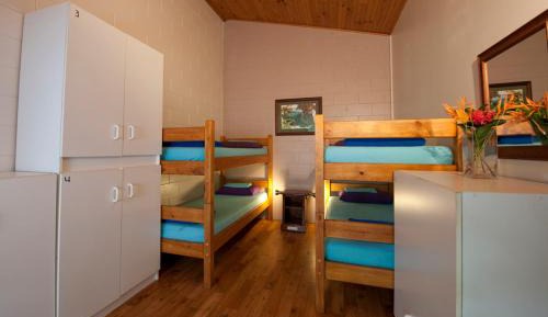 Bunk in Mixed 4-Bed Share Room