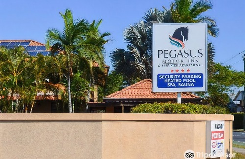 Hamilton Hotel | Pegasus Motor Inn and Serviced Apartments