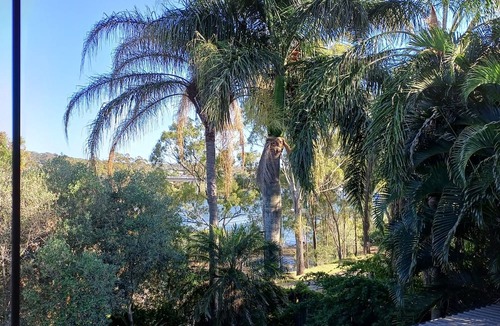 Tannum Sands Apartment | Beautifully appointed Riverside Apartment with views near to river and beach.